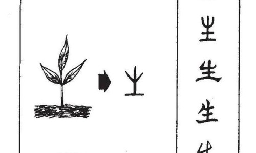 经痛和宫外孕的区别网—知名的宫外孕和月经的区别网站,分享宫外孕跟姨妈痛怎么区别知识